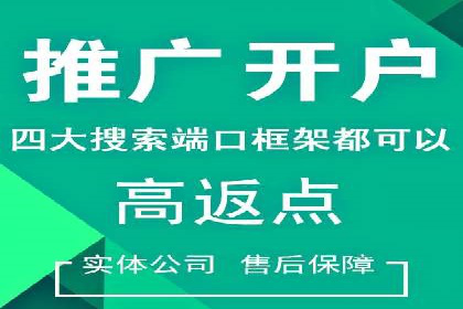 百度SEM广告策略在电商行业的成功案例